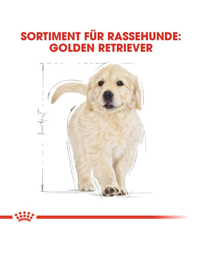 ROYAL CANIN Golden Retriever Puppy Welpenfutter trocken 12 kg