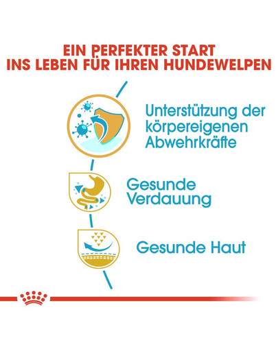 ROYAL CANIN French Bulldog Puppy Welpenfutter trocken für Französische Bulldoggen 3 kg