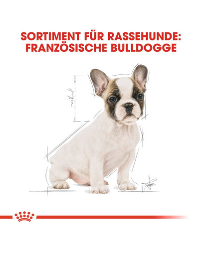 ROYAL CANIN French Bulldog Puppy Welpenfutter trocken für Französische Bulldoggen 3 kg