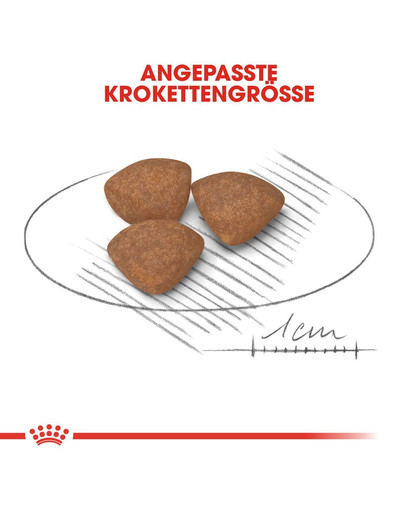 ROYAL CANIN MINI Puppy Welpenfutter trocken für kleine Hunde 4 kg