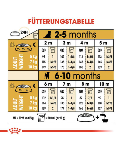 ROYAL CANIN Jack Russell Terrier Puppy Welpenfutter trocken 3 kg