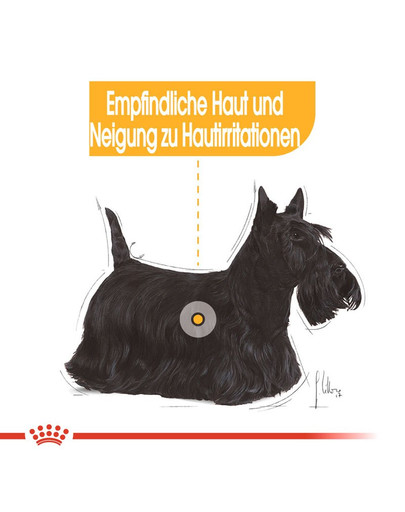 ROYAL CANIN DERMACOMFORT MINI Trockenfutter für kleine Hunde mit empfindlicher Haut 8 kg