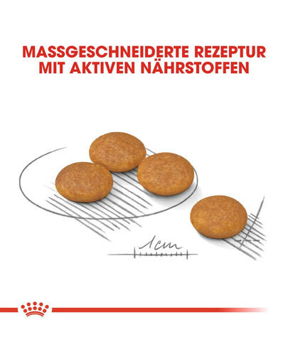 ROYAL CANIN DERMACOMFORT MINI Trockenfutter für kleine Hunde mit empfindlicher Haut 1 kg