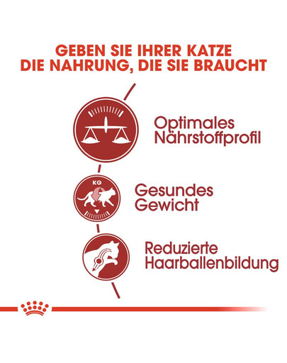 ROYAL CANIN FIT Trockenfutter für aktive Katzen 400 g