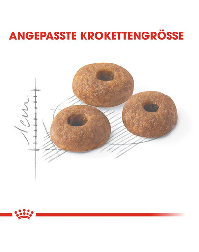 ROYAL CANIN FIT Trockenfutter für aktive Katzen 10 kg