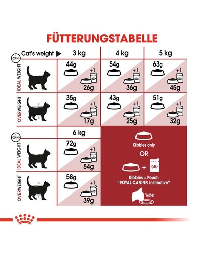 ROYAL CANIN FIT Trockenfutter für aktive Katzen 400 g