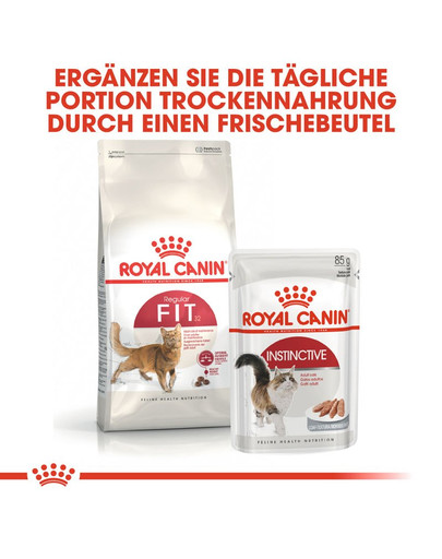 ROYAL CANIN FIT Trockenfutter für aktive Katzen 10 kg