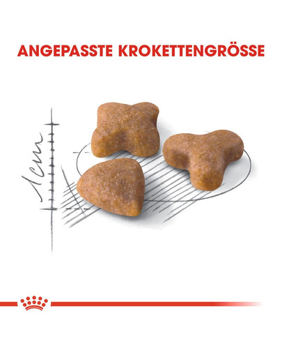 ROYAL CANIN SENSIBLE Trockenfutter für sensible Katzen 400 g