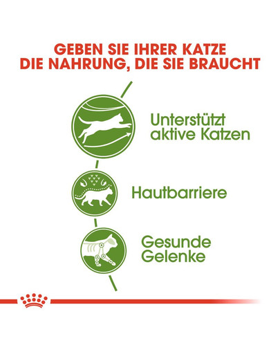 ROYAL CANIN OUTDOOR Katzenfutter trocken für Freigänger 4 kg