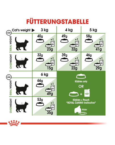 ROYAL CANIN OUTDOOR Katzenfutter trocken für Freigänger 10 kg