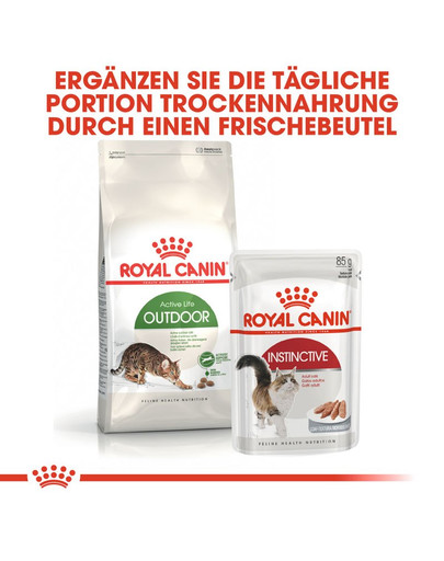 ROYAL CANIN OUTDOOR Katzenfutter trocken für Freigänger 10 kg