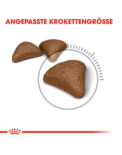 ROYAL CANIN Hairball Care Katzenfutter trocken gegen Haarballen 10 kg