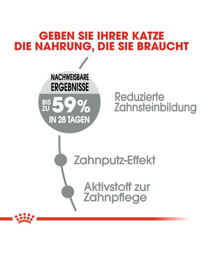 ROYAL CANIN Oral Care Katzenfutter trocken für gesunde Zähne 8 kg