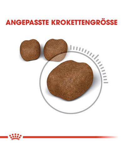 ROYAL CANIN Oral Care Katzenfutter trocken für gesunde Zähne 3,5 kg