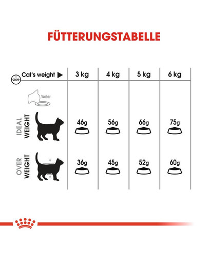 ROYAL CANIN Oral Care Katzenfutter trocken für gesunde Zähne 8 kg
