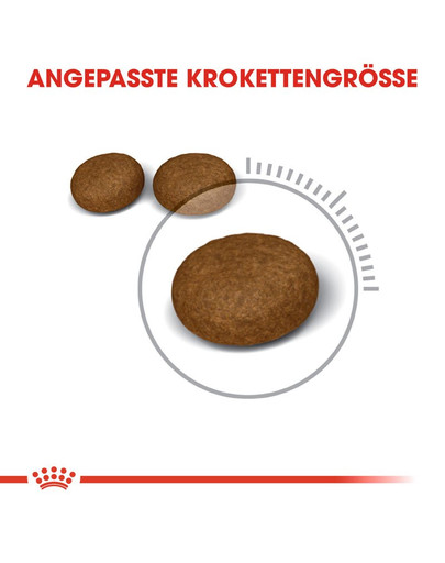 ROYAL CANIN Hair & Skin Care Katzenfutter trocken für gesundes Fell 10 kg