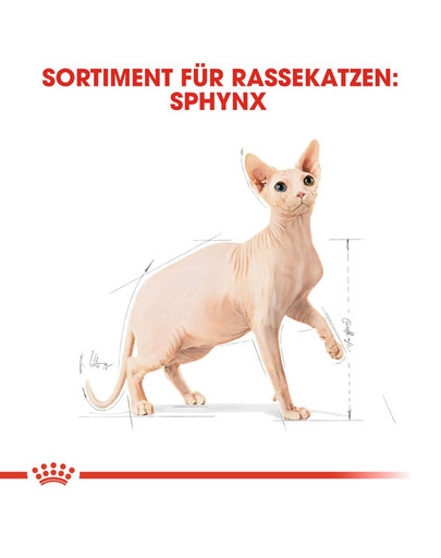 ROYAL CANIN Sphynx Adult Katzenfutter trocken 2 kg