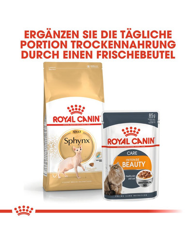 ROYAL CANIN Sphynx Adult Katzenfutter trocken 10 kg