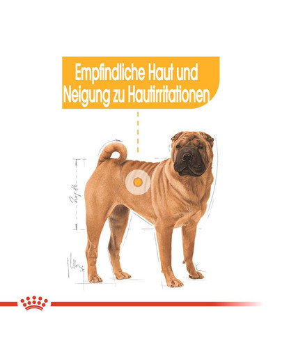 ROYAL CANIN MEDIUM Dermacomfort Trockenfutter für mittelgroße Hunde mit empfindlicher Haut 3 kg