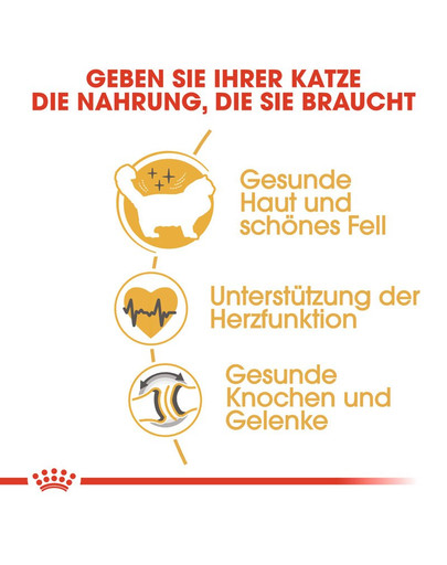 ROYAL CANIN Ragdoll Adult Katzenfutter trocken 10 kg