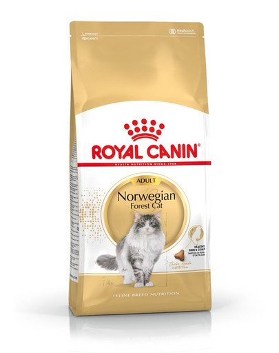 ROYAL CANIN Norwegian Forest Cat Adult Trockenfutter für Norwegische Waldkatzen 2 kg