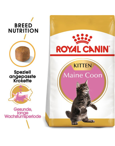 ROYAL CANIN Maine Coon Kittenfutter trocken für Kätzchen 2 kg