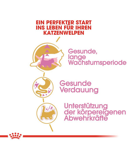 ROYAL CANIN Maine Coon Kittenfutter trocken für Kätzchen 2 kg