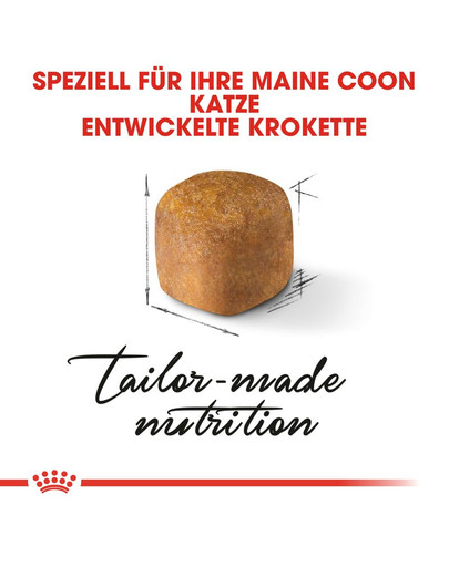 ROYAL CANIN Maine Coon Kittenfutter trocken für Kätzchen 2 kg