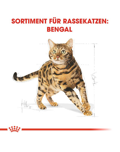 ROYAL CANIN Bengal Adult Katzenfutter trocken 2 kg