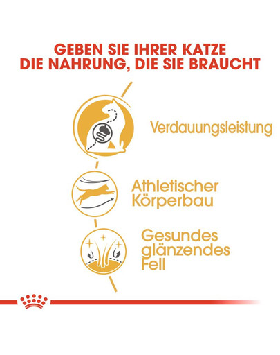 ROYAL CANIN Bengal Adult Katzenfutter trocken 10 kg