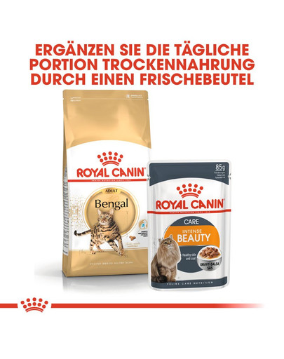 ROYAL CANIN Bengal Adult Katzenfutter trocken 10 kg