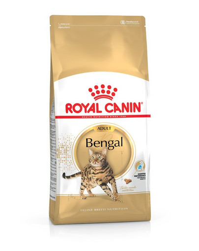 ROYAL CANIN Bengal Adult Katzenfutter trocken 10 kg
