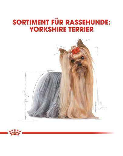 ROYAL CANIN Yorkshire Terrier Adult Hundefutter nass Mousse 12 x 85 g