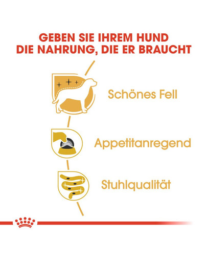 ROYAL CANIN Yorkshire Terrier Adult Hundefutter nass Mousse 12 x 85 g