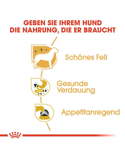 ROYAL CANIN Chihuahua Adult Hundefutter nass in Soße 12 x 85 g