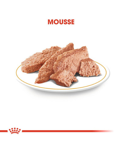 ROYAL CANIN Chihuahua Adult Hundefutter nass in Soße 12 x 85 g