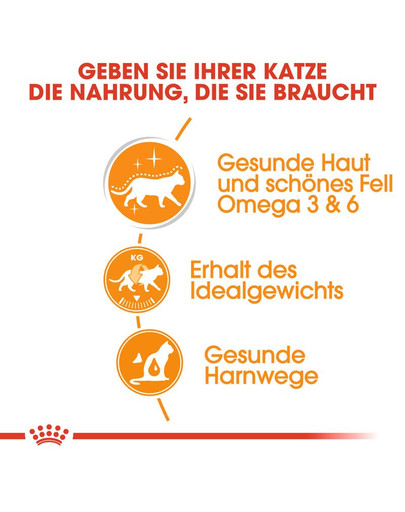 ROYAL CANIN Intense Beauty Katzenfutter nass in Gelee für schönes Fell 12 x 85 g