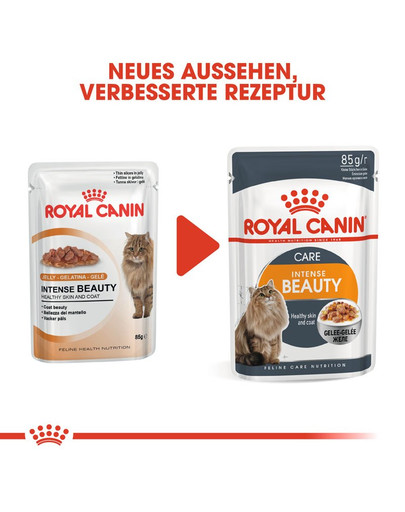 ROYAL CANIN Intense Beauty Katzenfutter nass in Gelee für schönes Fell 12 x 85 g