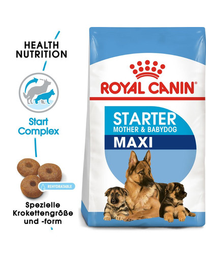 ROYAL CANIN MAXI Starter für tragende Hündin und Welpen 15 kg