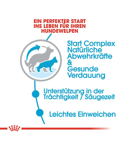 ROYAL CANIN MAXI Starter für tragende Hündin und Welpen 15 kg