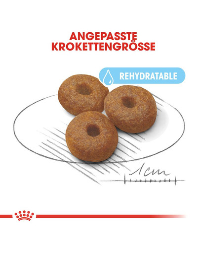 ROYAL CANIN MAXI Starter für tragende Hündin und Welpen 15 kg