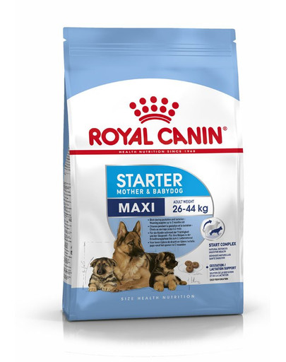 ROYAL CANIN MAXI Starter für tragende Hündin und Welpen 15 kg