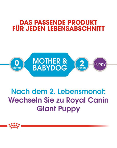 ROYAL CANIN GIANT Starter für tragende Hündin und Welpen 15 kg