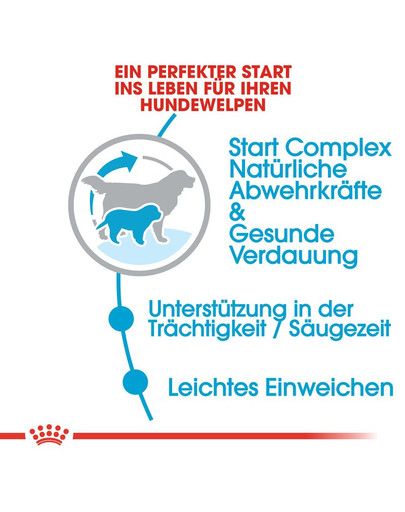 ROYAL CANIN GIANT Starter für tragende Hündin und Welpen 15 kg