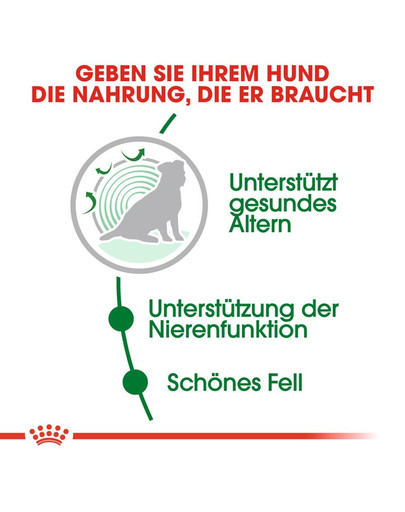ROYAL CANIN MINI Ageing 12+ Trockenfutter für ausgewachsene Hunde, kleine Rassen 800 g