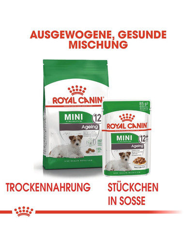 ROYAL CANIN MINI Ageing 12+ Trockenfutter für ausgewachsene Hunde, kleine Rassen 800 g