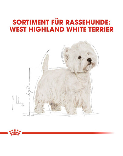 ROYAL CANIN West Highland White Terrier Adult Hundefutter trocken 3 kg