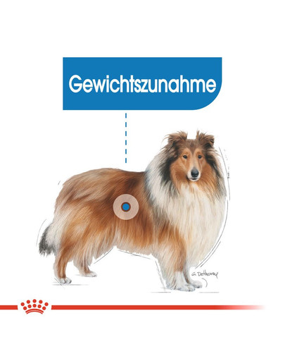 ROYAL CANIN LIGHT WEIGHT CARE MAXI Trockenfutter für große Hunde mit Neigung zu Übergewicht 3 kg