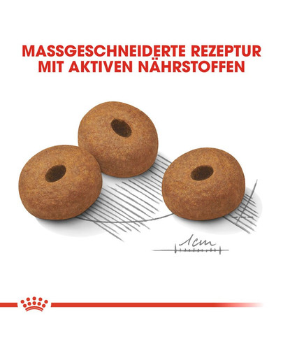 ROYAL CANIN LIGHT WEIGHT CARE MAXI Trockenfutter für große Hunde mit Neigung zu Übergewicht 3 kg