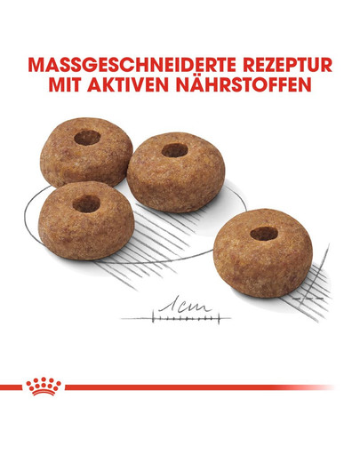 ROYAL CANIN STERILISED MEDIUM Trockenfutter für kastrierte mittelgroße Hunde 3 kg